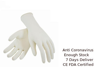 China Ärztliche Untersuchungs-chirurgisches Handhandschuh-Latex-Material 100% wasserdicht fournisseur
