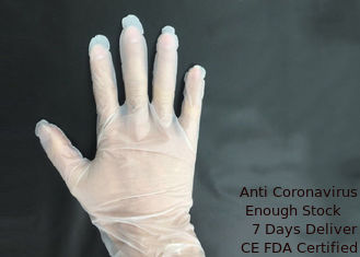 China Glattes Pulver-freie Vinylhandschuhe, sterile Wegwerfhandschuhe Eco freundlich fournisseur