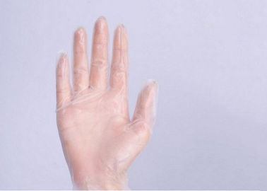 Vor pulverisiertes chirurgische sterile Handschuh-synthetisches elastisches Weiche mit Soem-Service fournisseur