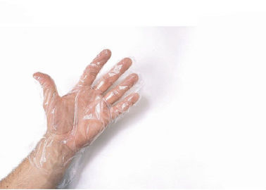 Handschuh-biologisch abbaubarer transparenter natürlicher Latex Soem-ODM chirurgische Hand  fournisseur