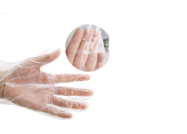 Handschuh-biologisch abbaubarer transparenter natürlicher Latex Soem-ODM chirurgische Hand  fournisseur